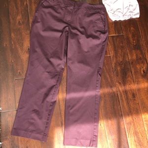 Ann Taylor Signature Pants